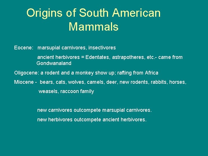 Origins of South American Mammals Eocene: marsupial carnivores, insectivores ancient herbivores = Edentates, astrapotheres,