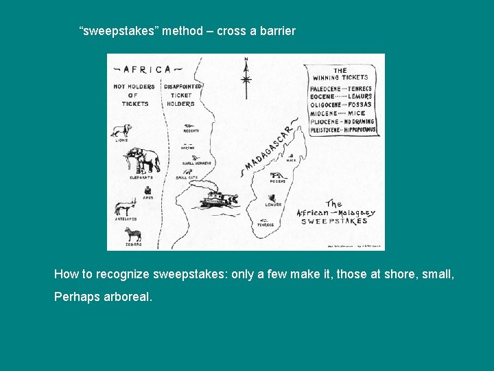 “sweepstakes” method – cross a barrier How to recognize sweepstakes: only a few make