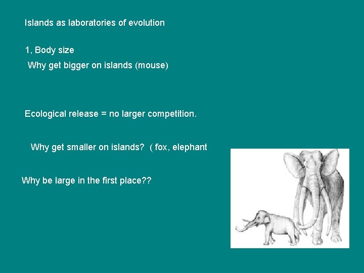 Islands as laboratories of evolution 1, Body size Why get bigger on islands (mouse)
