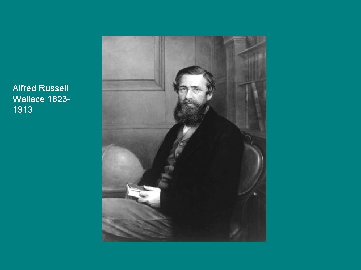 Alfred Russell Wallace 18231913 
