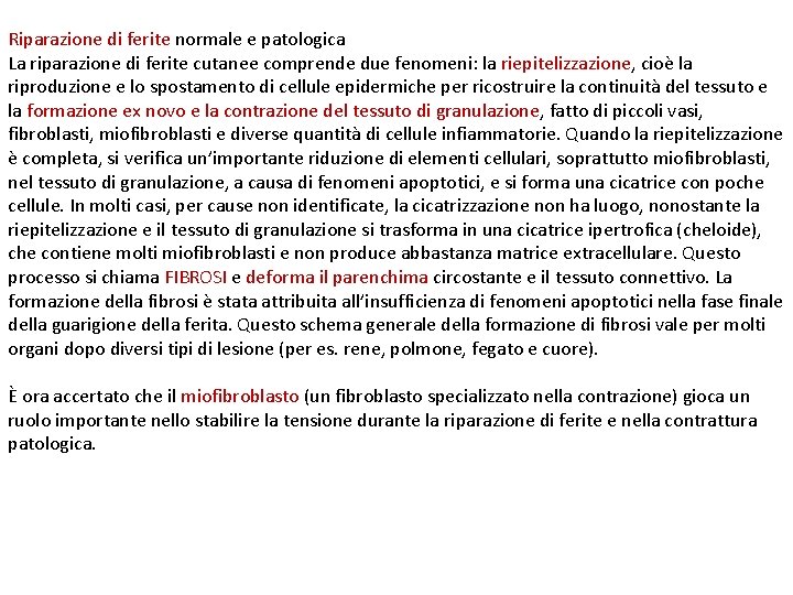 Riparazione di ferite normale e patologica La riparazione di ferite cutanee comprende due fenomeni: