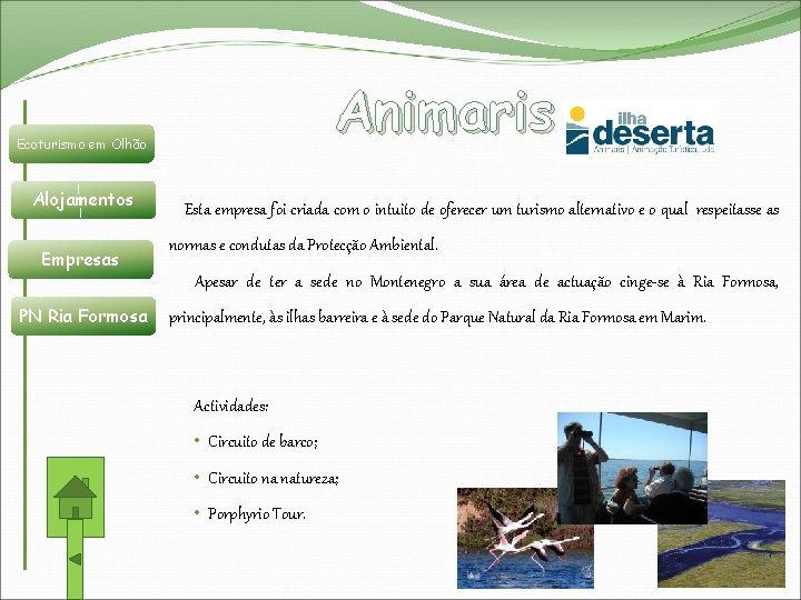 Animaris Ecoturismo em Olhão Alojamentos Empresas Esta empresa foi criada com o intuito de