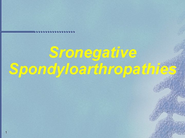 Sronegative Spondyloarthropathies 1 