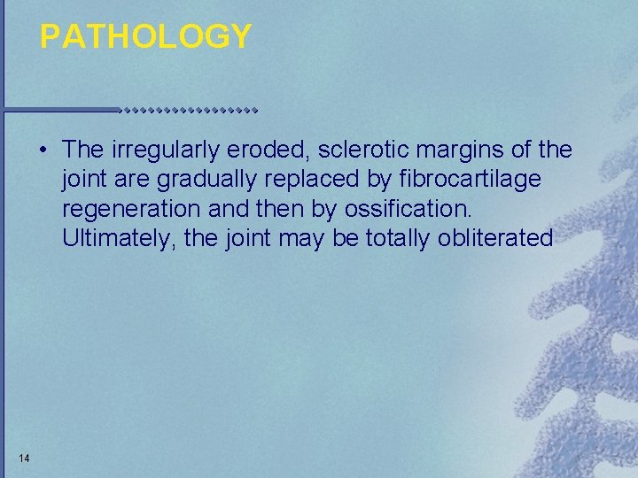 PATHOLOGY • The irregularly eroded, sclerotic margins of the joint are gradually replaced by