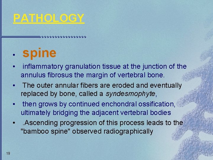 PATHOLOGY • • spine inflammatory granulation tissue at the junction of the annulus fibrosus