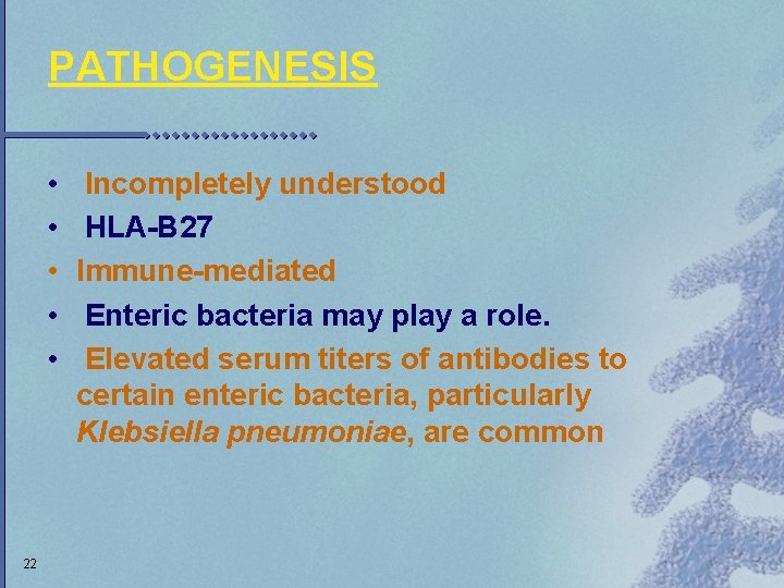 PATHOGENESIS • • • 22 Incompletely understood HLA-B 27 Immune-mediated Enteric bacteria may play