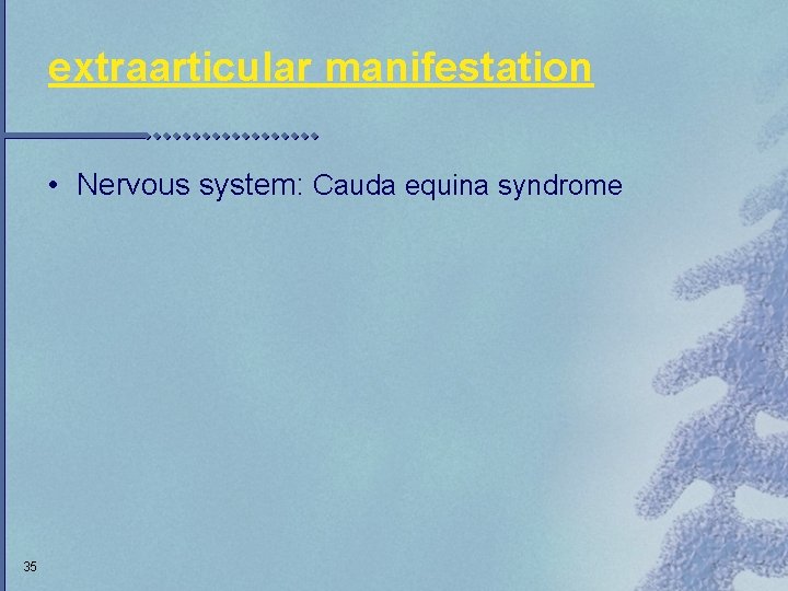 extraarticular manifestation • Nervous system: Cauda equina syndrome 35 