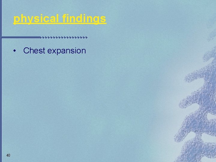 physical findings • Chest expansion 40 