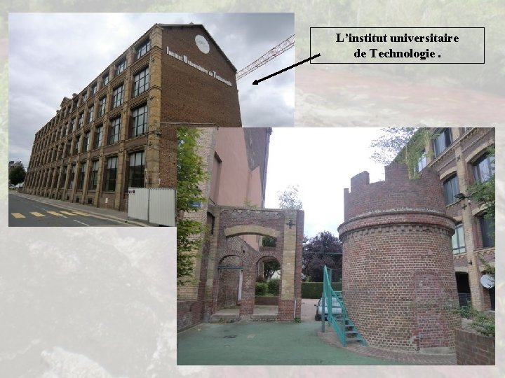 L’institut universitaire de Technologie. 