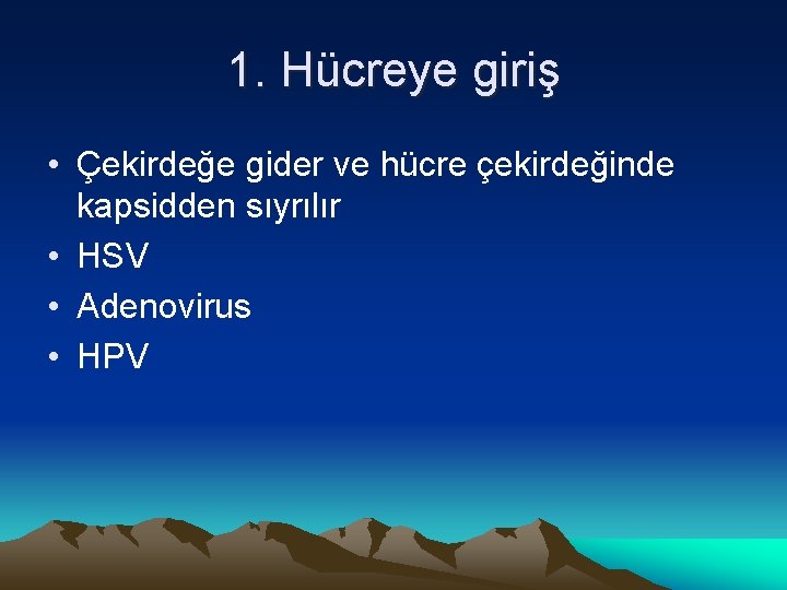 1. Hücreye giriş • Çekirdeğe gider ve hücre çekirdeğinde kapsidden sıyrılır • HSV •