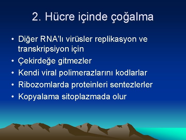 2. Hücre içinde çoğalma • Diğer RNA’lı virüsler replikasyon ve transkripsiyon için • Çekirdeğe