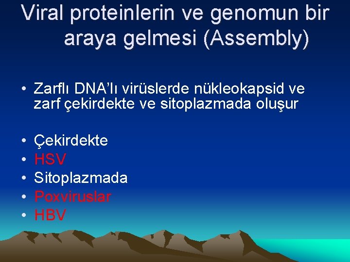 Viral proteinlerin ve genomun bir araya gelmesi (Assembly) • Zarflı DNA’lı virüslerde nükleokapsid ve