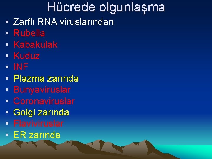 Hücrede olgunlaşma • • • Zarflı RNA viruslarından Rubella Kabakulak Kuduz INF Plazma zarında