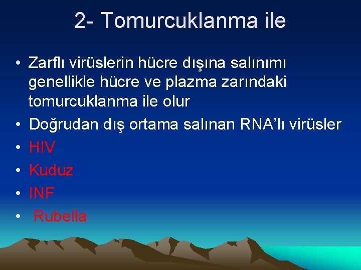 2 - Tomurcuklanma ile • Zarflı virüslerin hücre dışına salınımı genellikle hücre ve plazma