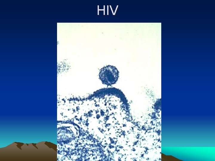 HIV 