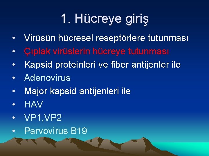 1. Hücreye giriş • • Virüsün hücresel reseptörlere tutunması Çıplak virüslerin hücreye tutunması Kapsid