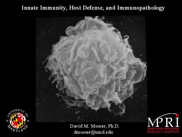 Innate Immunity, Host Defense, and Immunopathology David M. Mosser, Ph. D. dmosser@umd. edu 