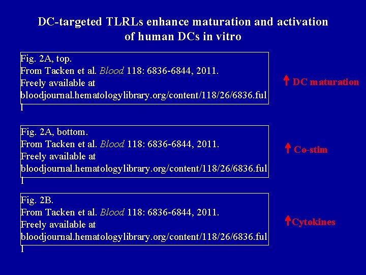 DC-targeted TLRLs enhance maturation and activation of human DCs in vitro Fig. 2 A,