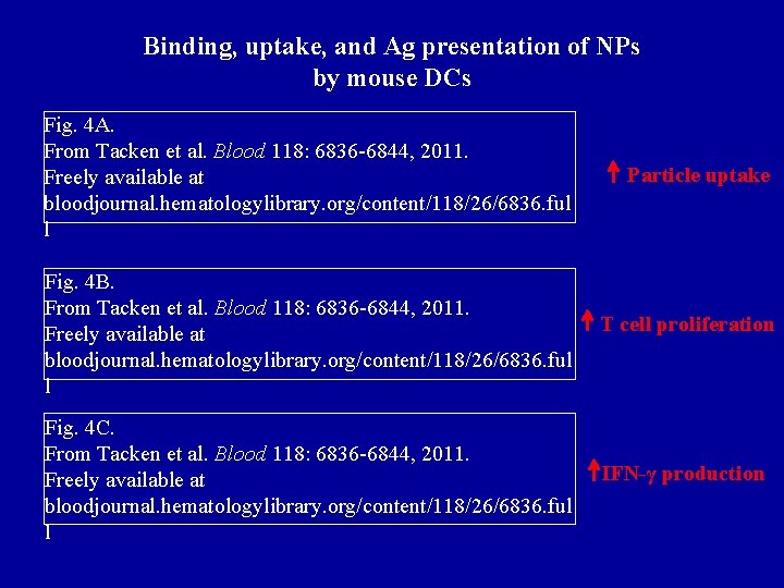 Binding, uptake, and Ag presentation of NPs by mouse DCs Fig. 4 A. From