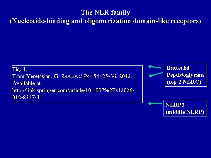 The NLR family (Nucleotide-binding and oligomerization domain-like receptors) Fig. 1. From Yeretssian, G. Immunol