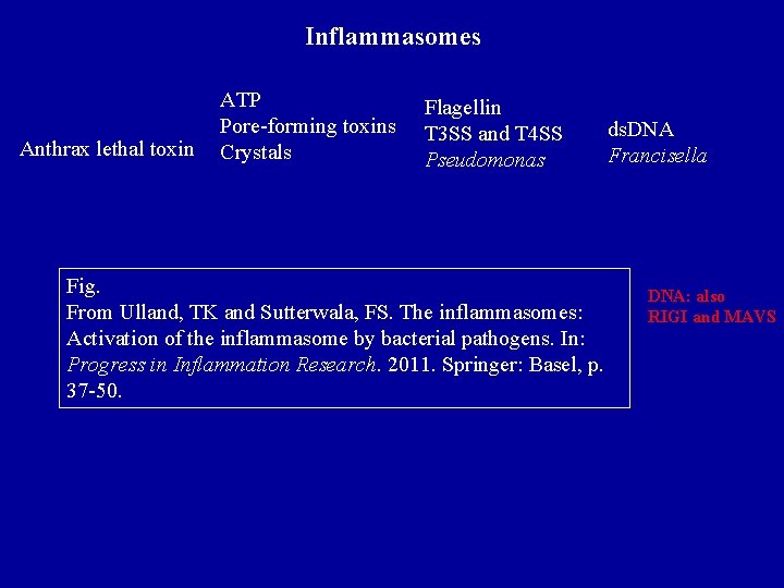 Inflammasomes Anthrax lethal toxin ATP Pore-forming toxins Crystals Flagellin T 3 SS and T