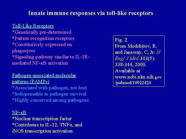 Innate immune responses via toll-like receptors Toll-Like Receptors *Genetically pre-determined *Pattern recognition receptors *Constitutively