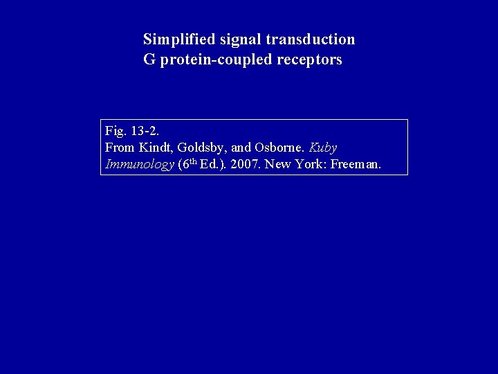 Simplified signal transduction G protein-coupled receptors Fig. 13 -2. From Kindt, Goldsby, and Osborne.