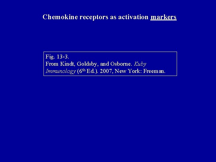 Chemokine receptors as activation markers Fig. 13 -3. From Kindt, Goldsby, and Osborne. Kuby