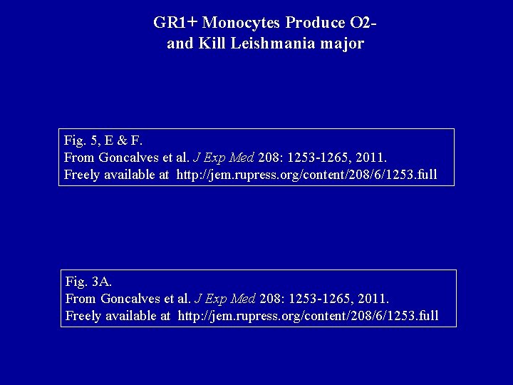 GR 1+ Monocytes Produce O 2 and Kill Leishmania major Fig. 5, E &