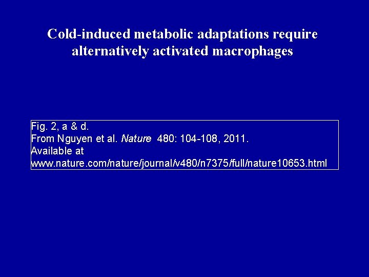 Cold-induced metabolic adaptations require alternatively activated macrophages Fig. 2, a & d. From Nguyen
