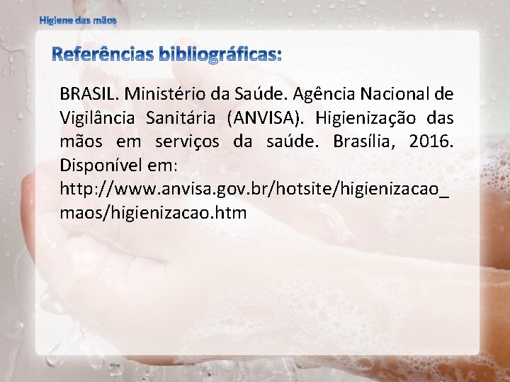 BRASIL. Ministério da Saúde. Agência Nacional de Vigilância Sanitária (ANVISA). Higienização das mãos em