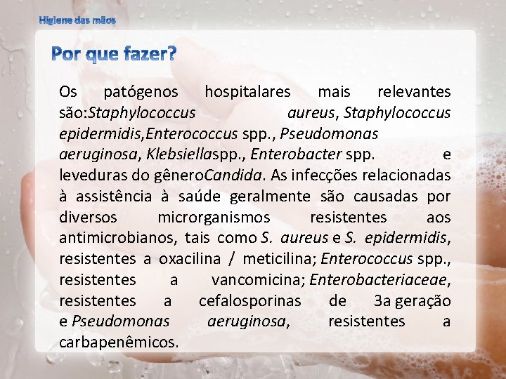 Os patógenos hospitalares mais relevantes são: Staphylococcus aureus, Staphylococcus epidermidis, Enterococcus spp. , Pseudomonas