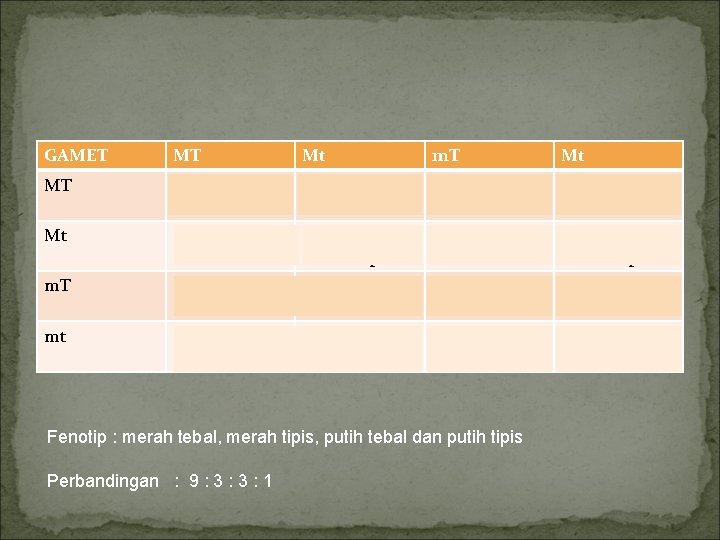 GAMET MT Mt m. T Mt MT MMTT Merah tebal MMTt Merah tebal Mm. GAMET MT Mt m. T Mt MT MMTT Merah tebal MMTt Merah tebal Mm.