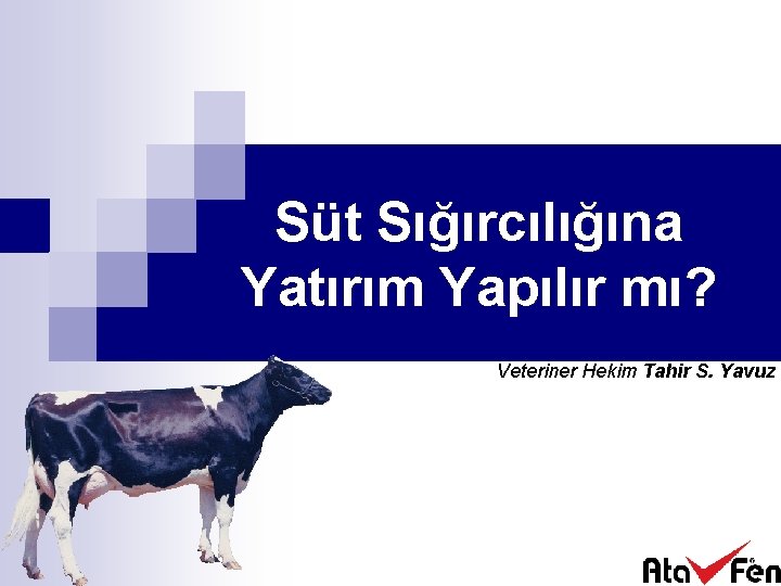 Süt Sığırcılığına Yatırım Yapılır mı? Veteriner Hekim Tahir S. Yavuz 