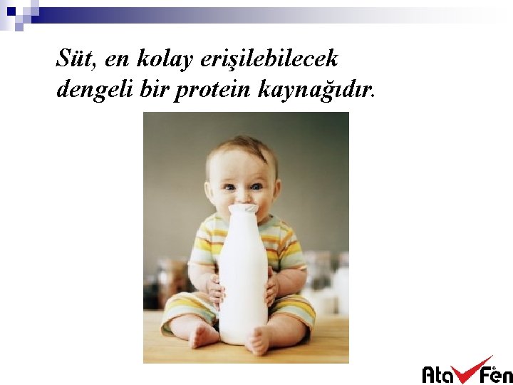 Süt, en kolay erişilebilecek dengeli bir protein kaynağıdır. 