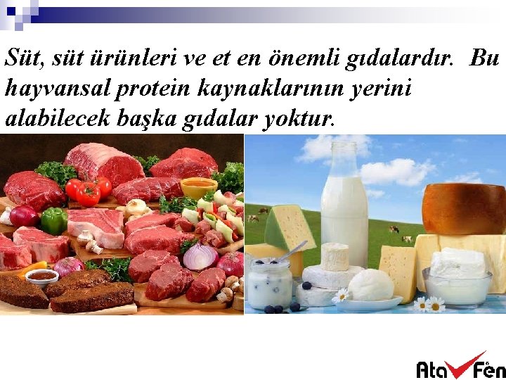 Süt, süt ürünleri ve et en önemli gıdalardır. Bu hayvansal protein kaynaklarının yerini alabilecek