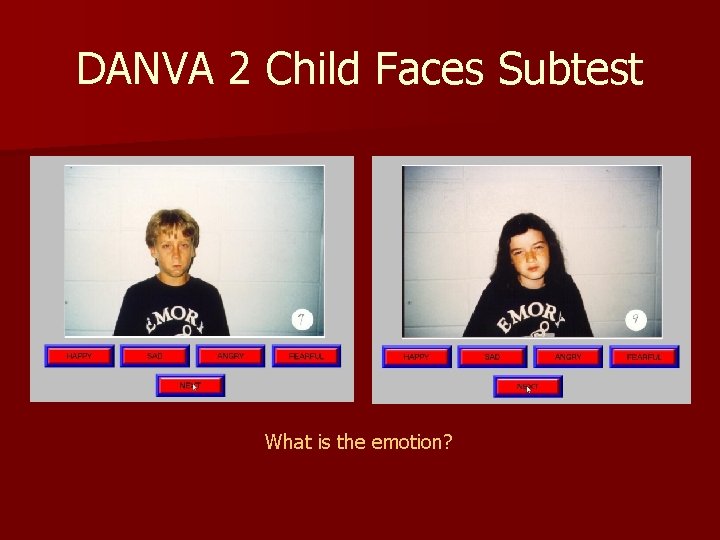 DANVA 2 Child Faces Subtest What is the emotion? 