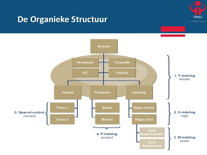 De Organieke Structuur 