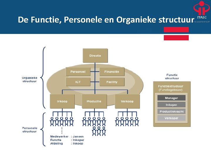 De Functie, Personele en Organieke structuur 