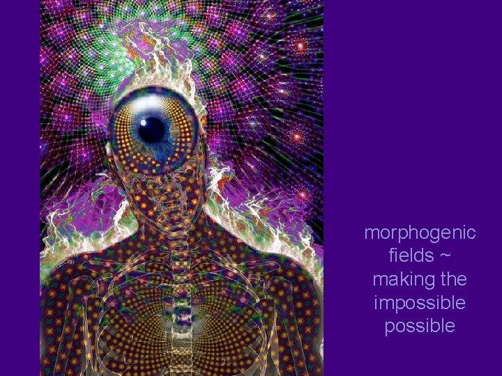 morphogenic fields ~ making the impossible 