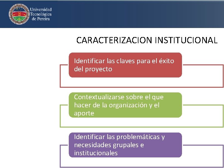 CARACTERIZACION INSTITUCIONAL Identificar las claves para el éxito del proyecto Contextualizarse sobre el que