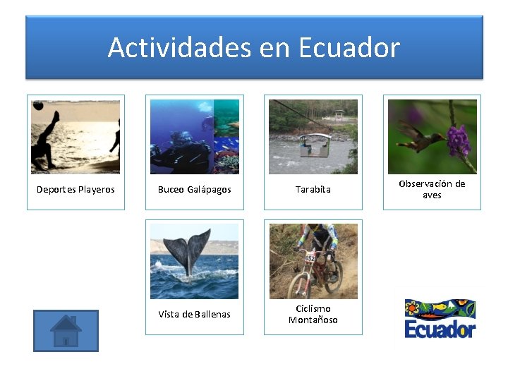 Actividades en Ecuador Deportes Playeros Buceo Galápagos Tarabita Vista de Ballenas Ciclismo Montañoso Observación