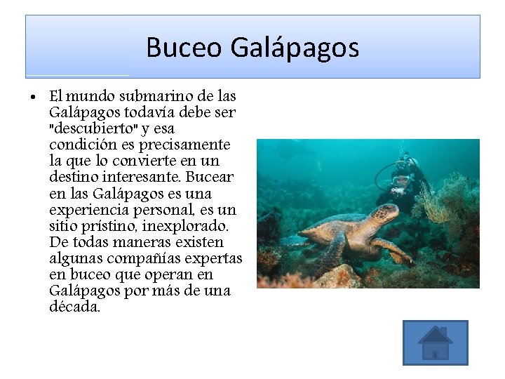 Buceo Galápagos • El mundo submarino de las Galápagos todavía debe ser "descubierto" y