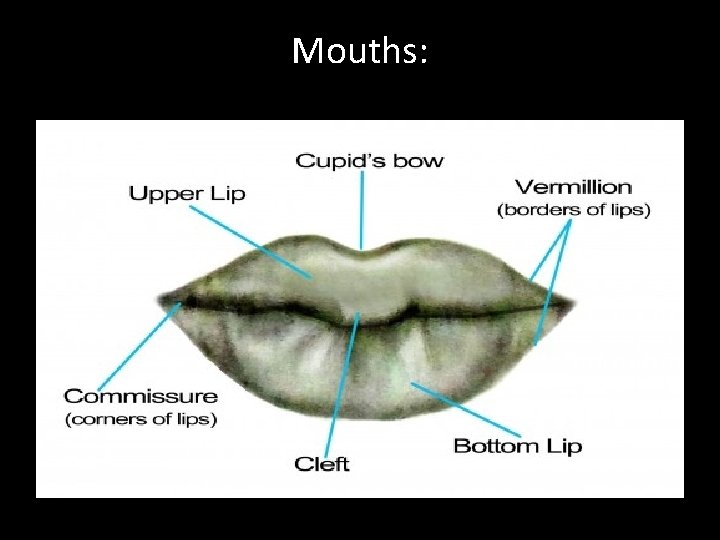 Mouths: 