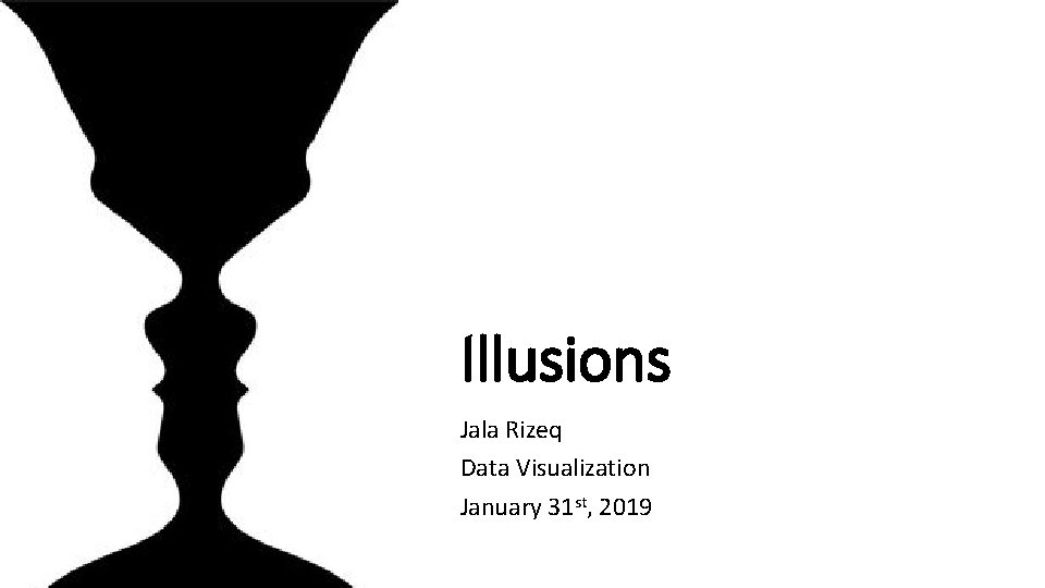 Illusions Jala Rizeq Data Visualization January 31 st, 2019 