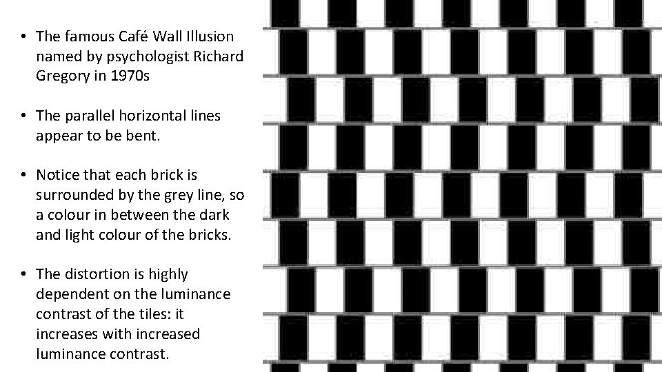  • The famous Café Wall Illusion named by psychologist Richard Gregory in 1970