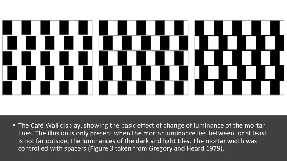  • The Café Wall display, showing the basic effect of change of luminance