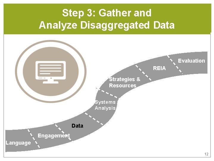 Step 3: Gather and Analyze Disaggregated Data Evaluation REIA Strategies & Resources Systems Analysis