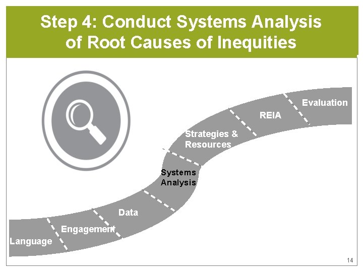 Step 4: Conduct Systems Analysis of Root Causes of Inequities Evaluation REIA Strategies &