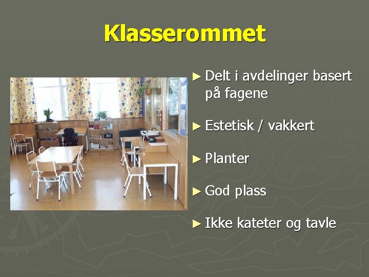 Klasserommet ► Delt i avdelinger basert på fagene ► Estetisk / vakkert ► Planter